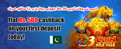 روزانہ جیک پاٹ 016 promotion